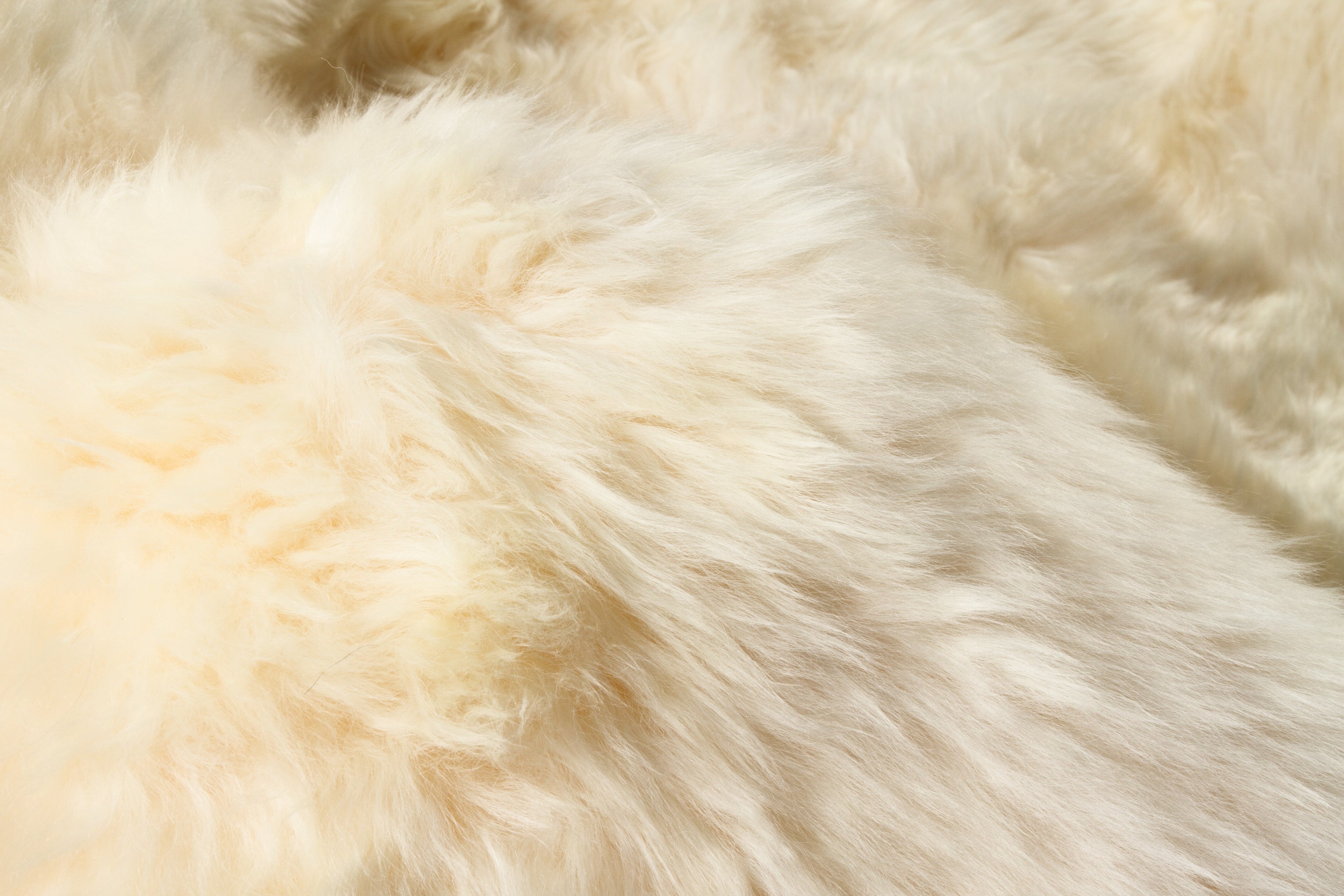 Gradient Grey Animal Print Area Rug