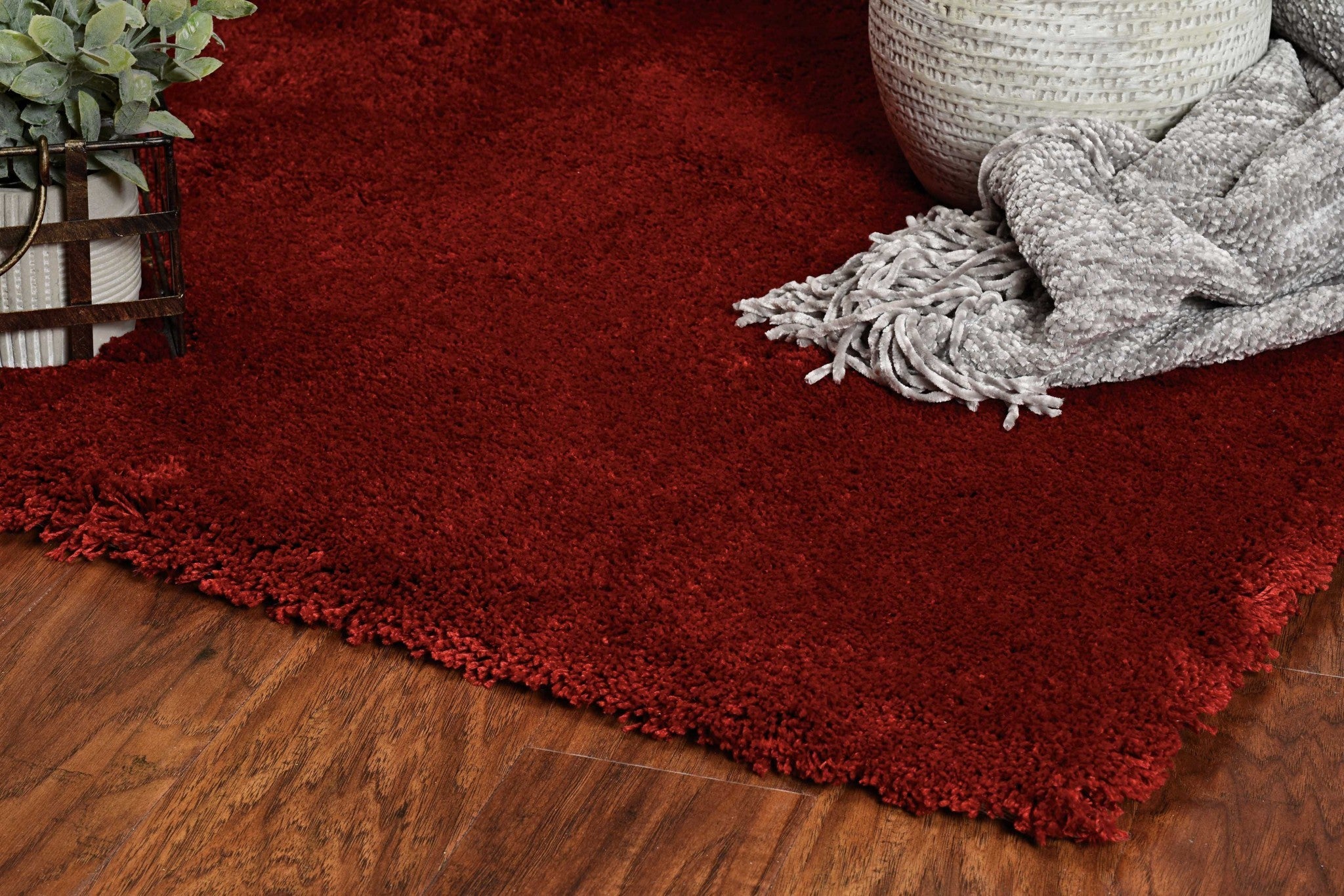2'X4' Red Indoor Shag Rug