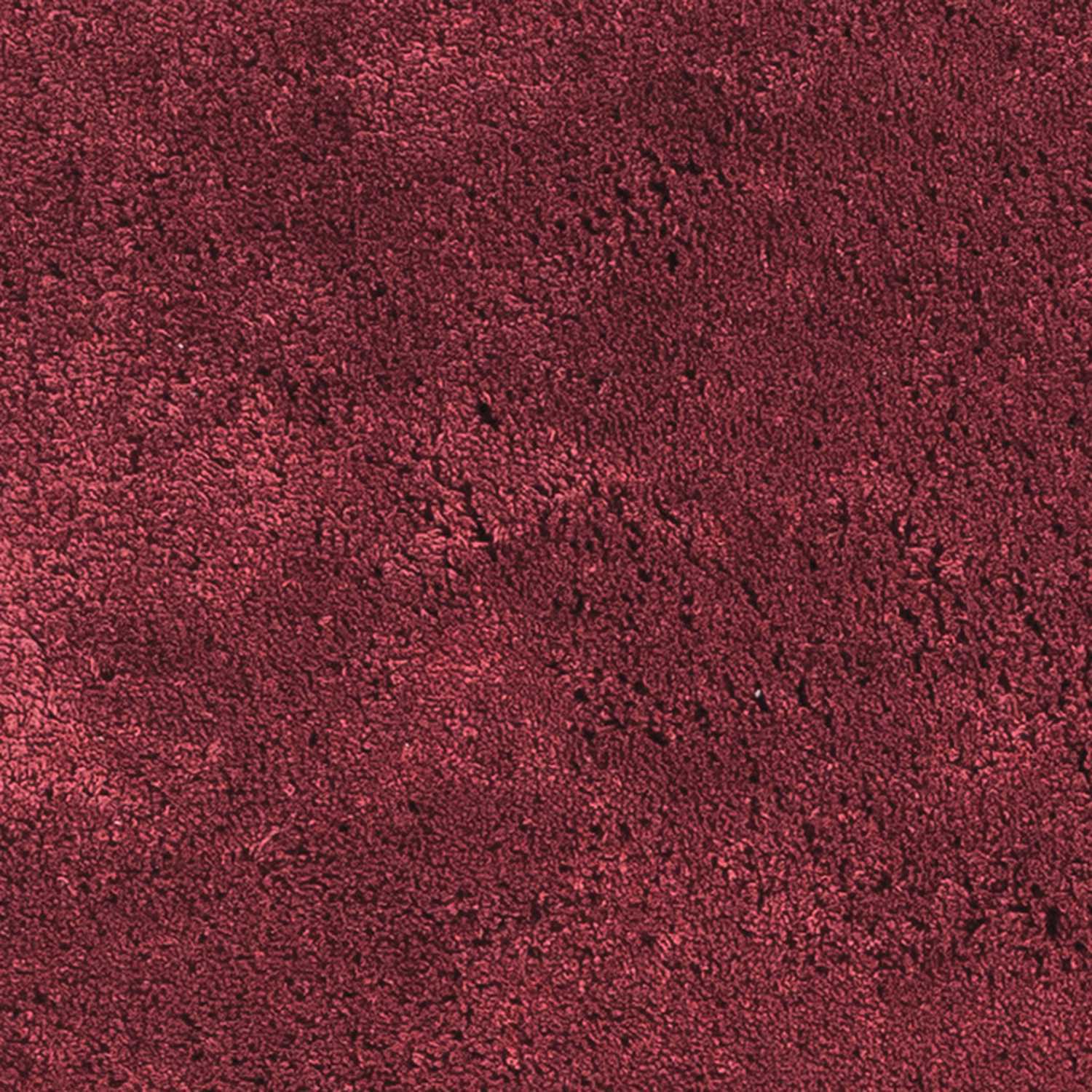 2'X4' Red Indoor Shag Rug