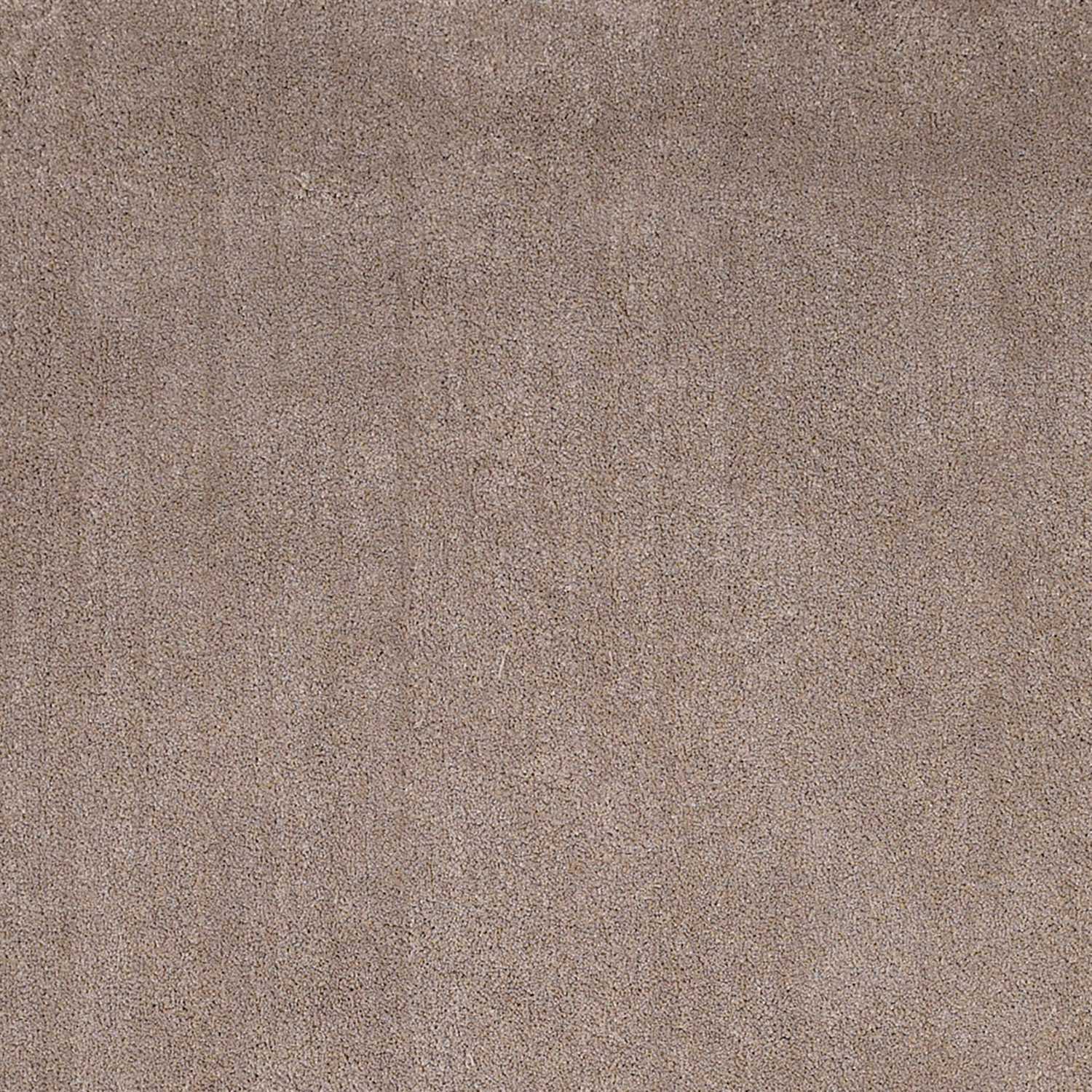 3'X5' Beige Heather Indoor Shag Rug
