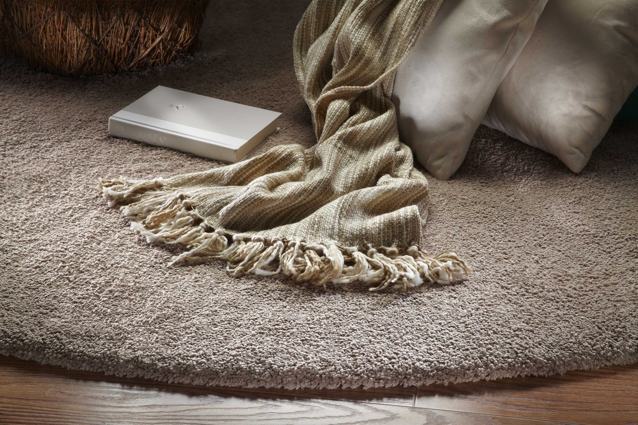 3'X5' Beige Heather Indoor Shag Rug
