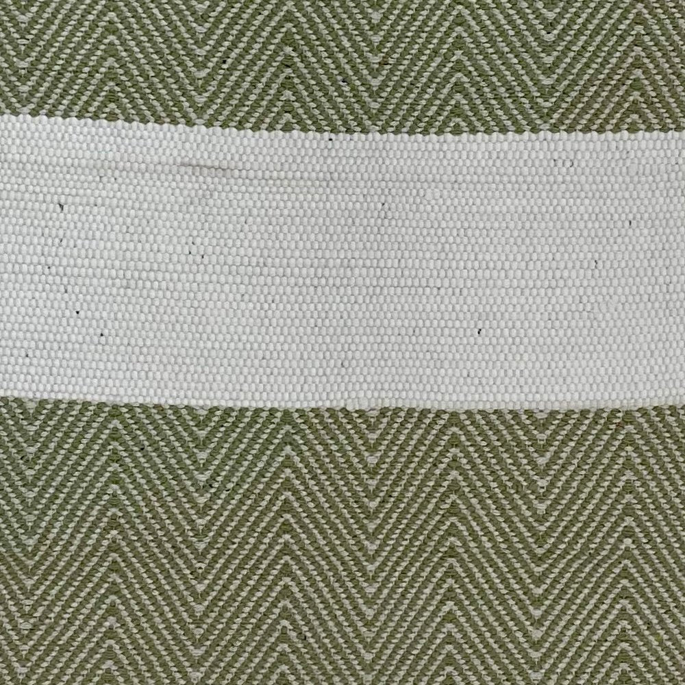 2' x 4' Green and White Chevron Striped Area Rug