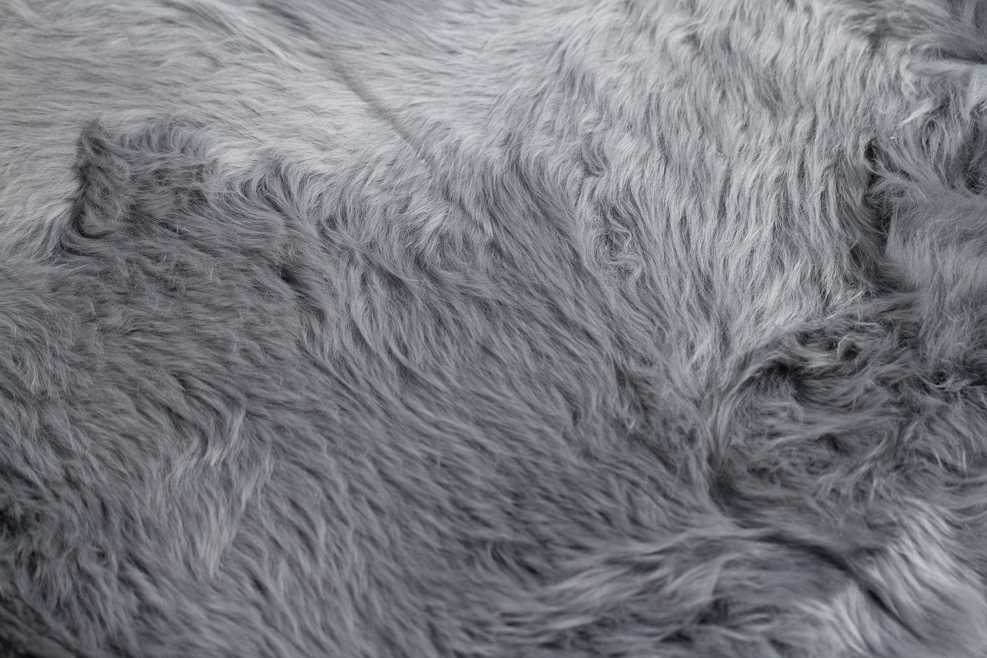 Grey Animal Print Area Rug