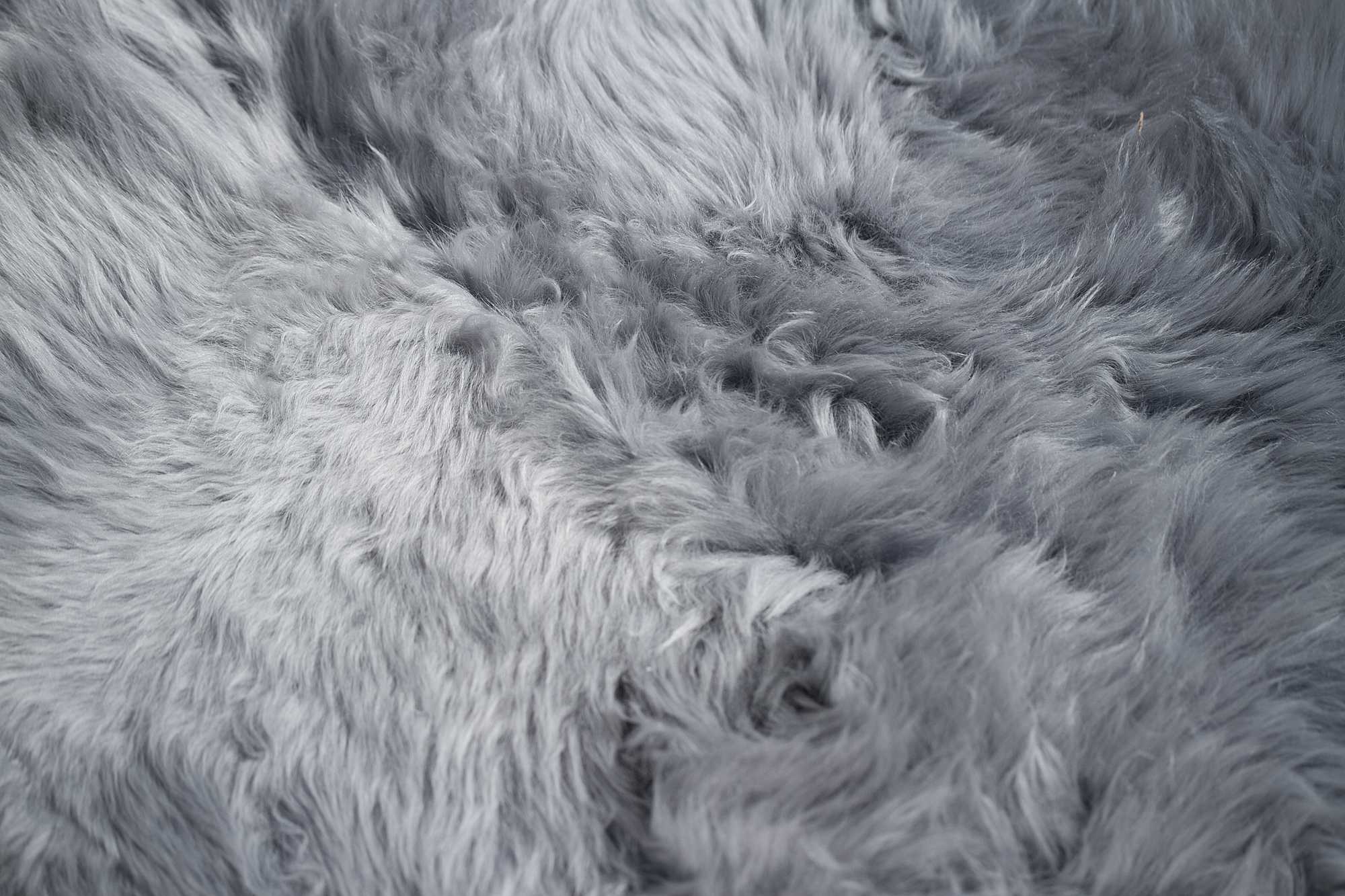 Grey Animal Print Area Rug