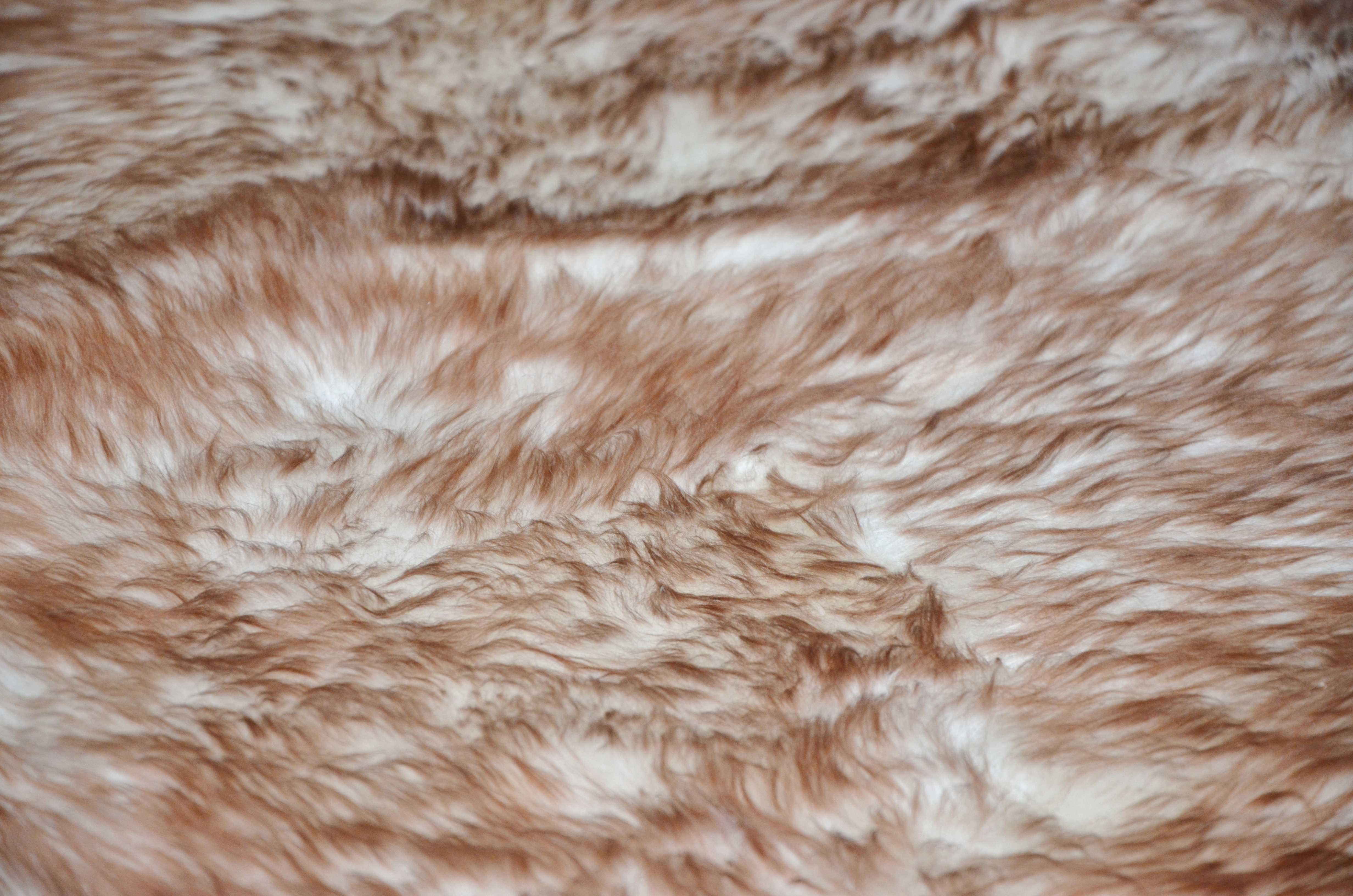 Gradient Chocolate Animal Print Area Rug