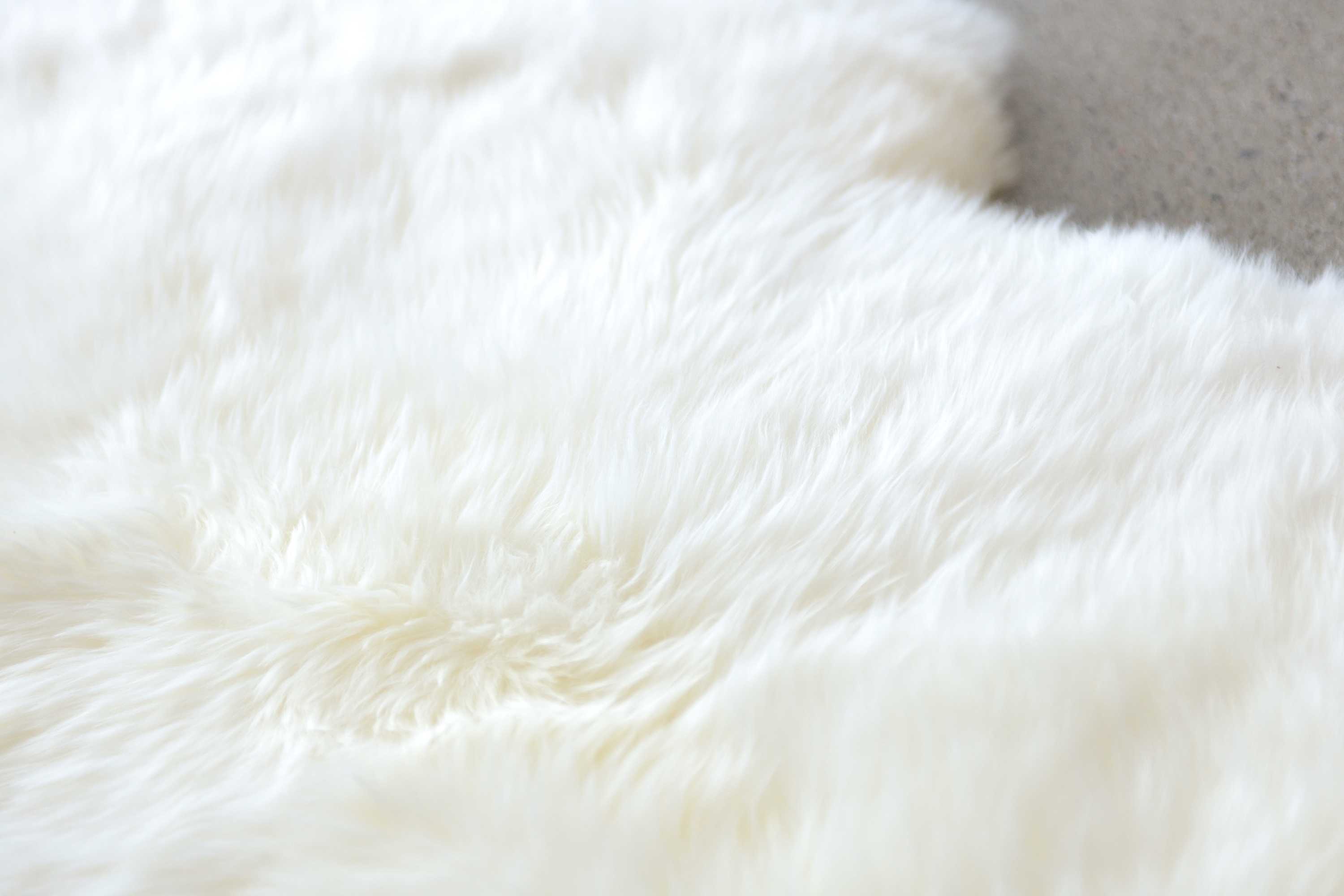 Natural Animal Print Area Rug