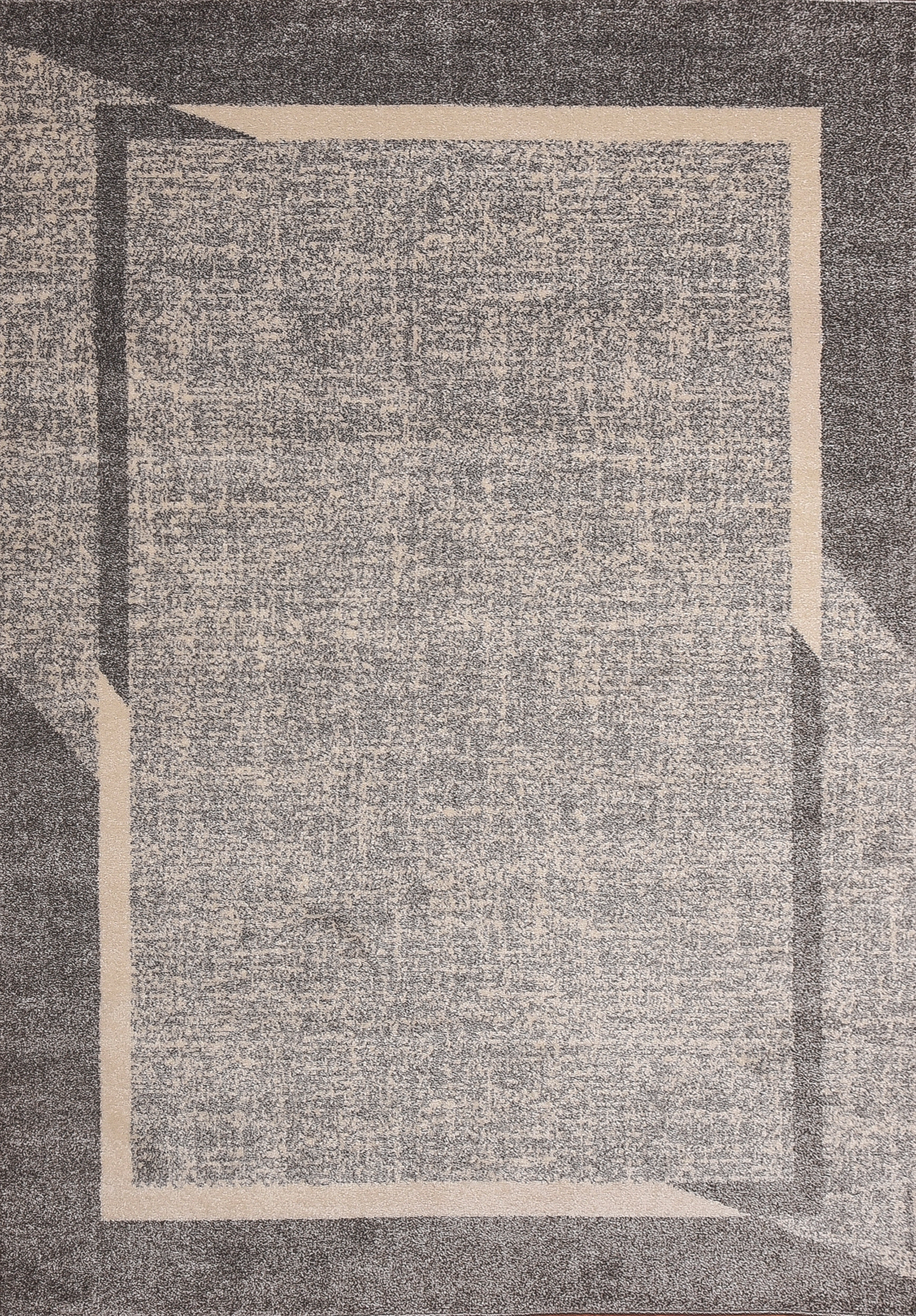 Fine Sleek Gray Beige Area Rug 3 ft. by 5 ft.